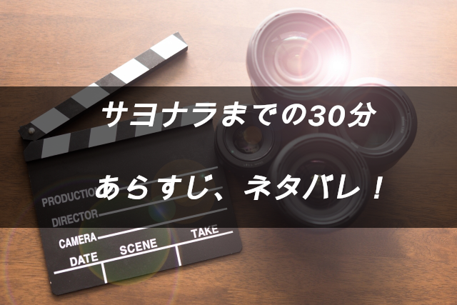 サヨナラ まで の 30 分 あらすじ