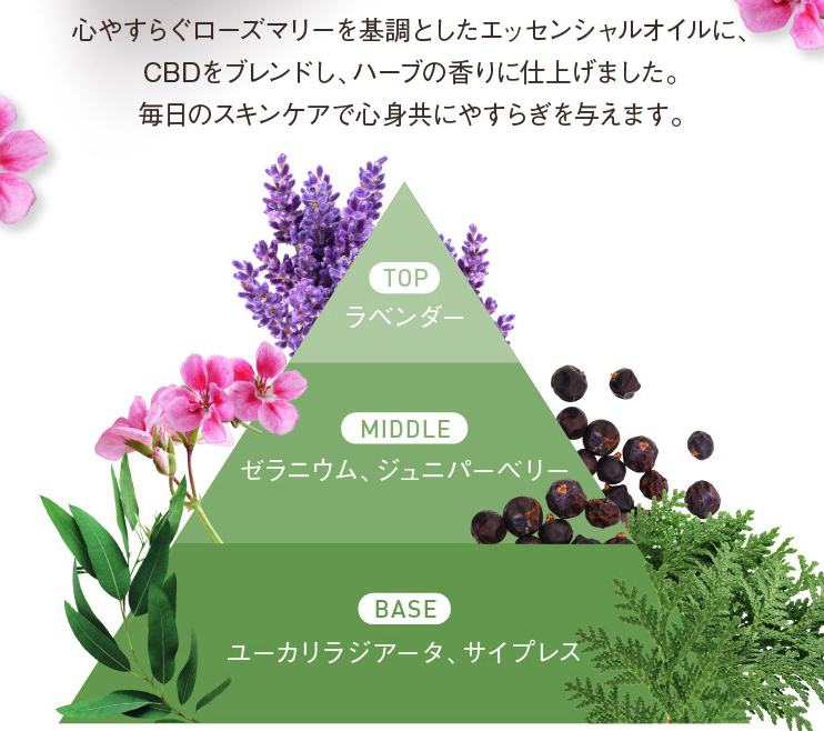 キュアスリッチセラム 販売店