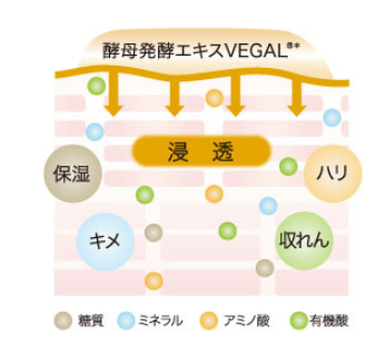 アルケミー 販売店