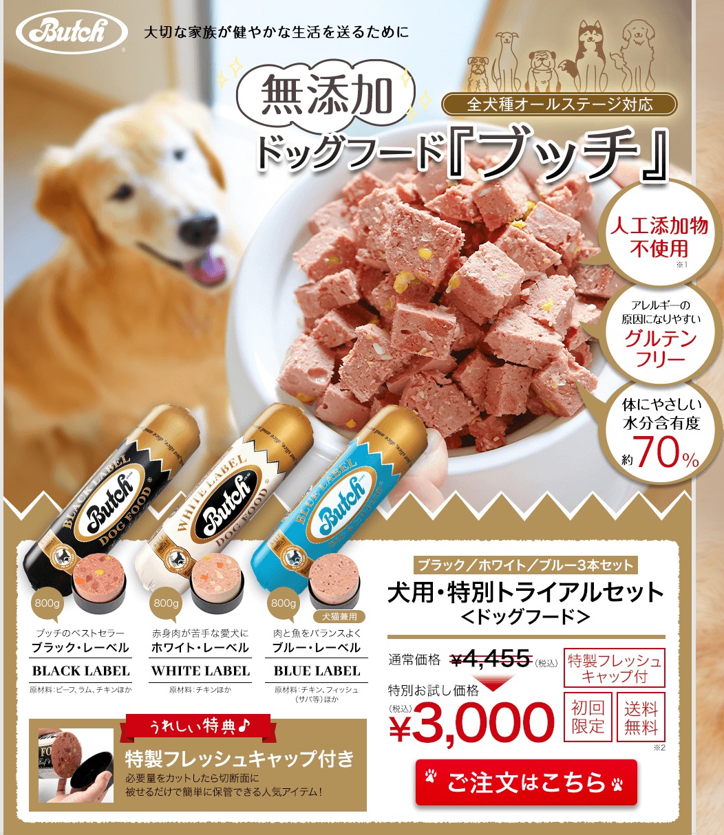ブッチ 最安値