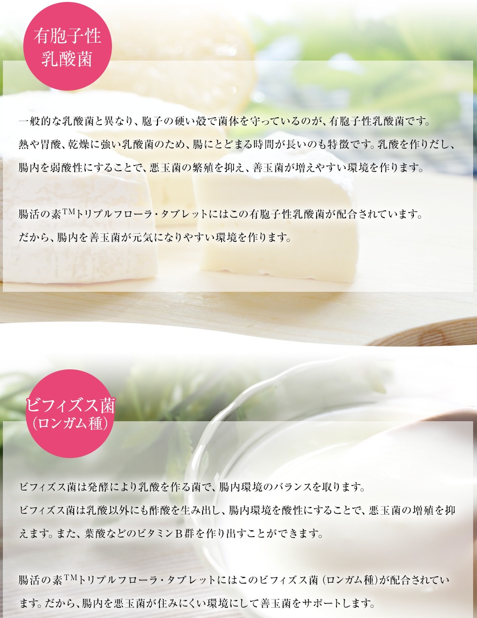 腸活の素 販売店