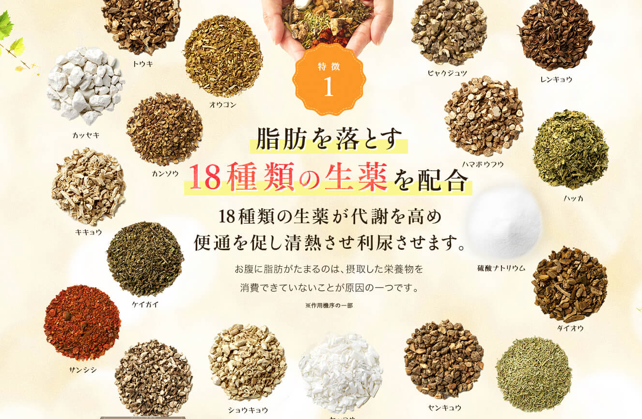 生漢煎 防風通聖散 販売店
