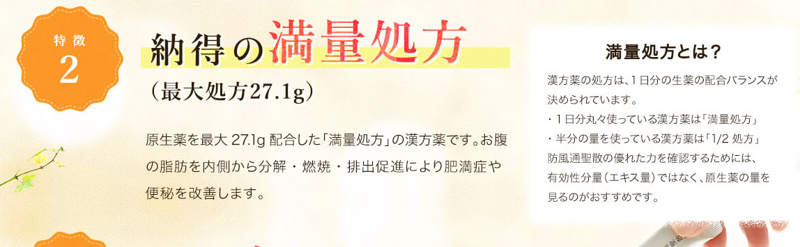生漢煎 防風通聖散 販売店