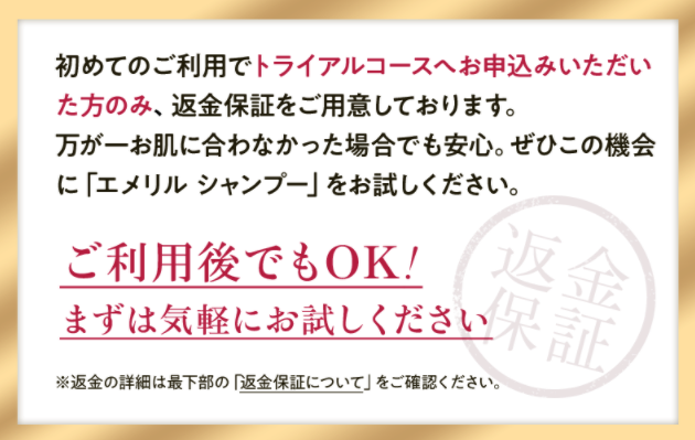エメリル 最安値