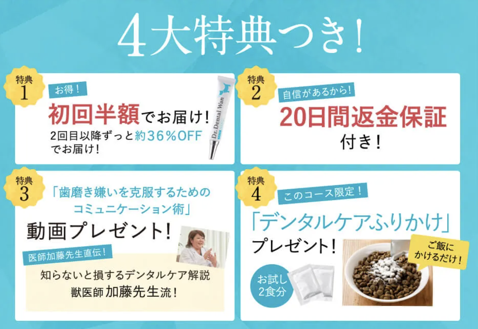 ドクターデンタルワン 最安値
