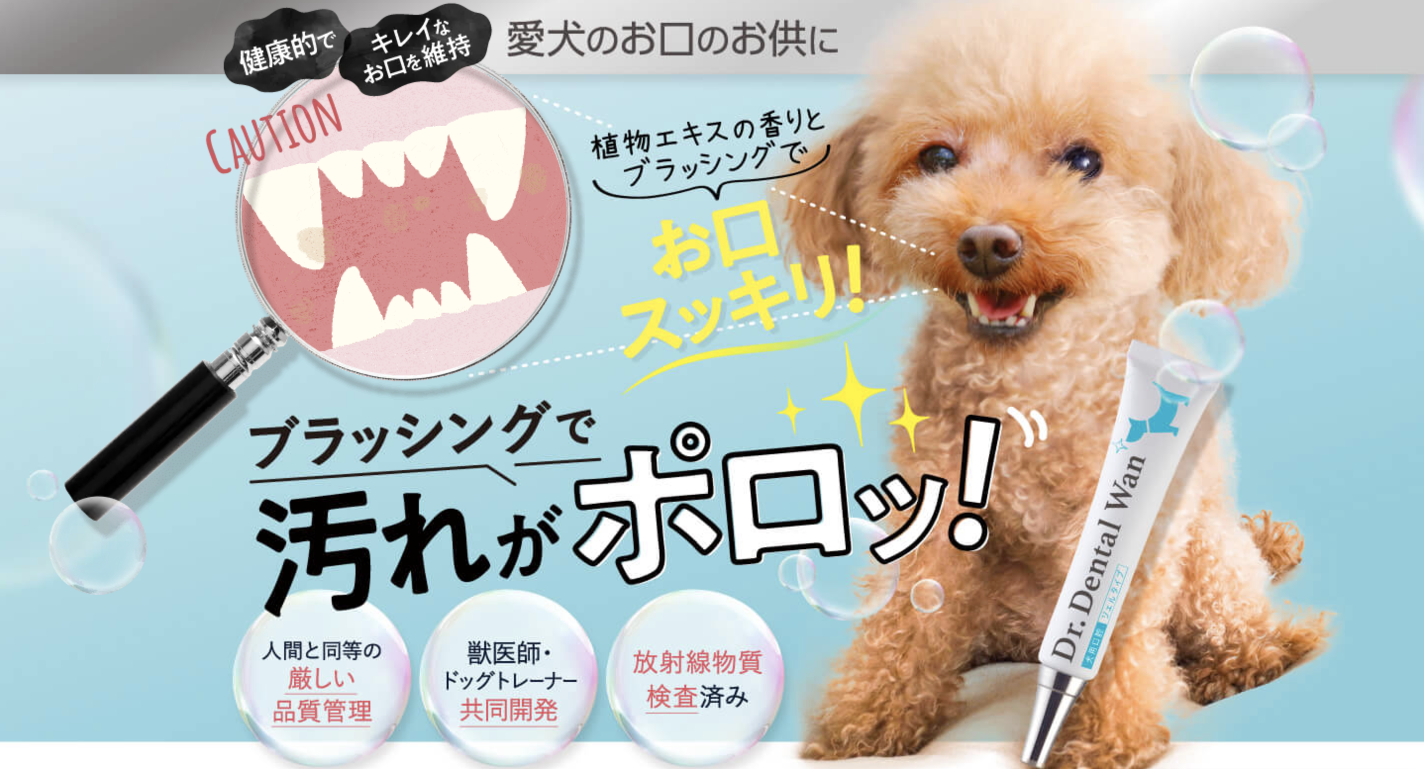 ドクターデンタルワン 販売店