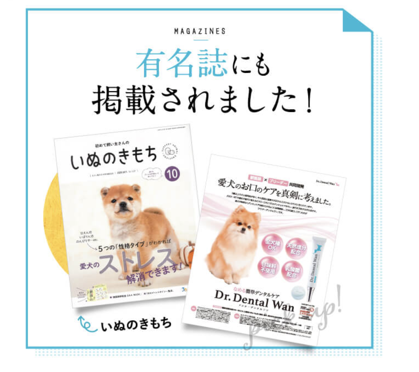 ドクターデンタルワン 販売店