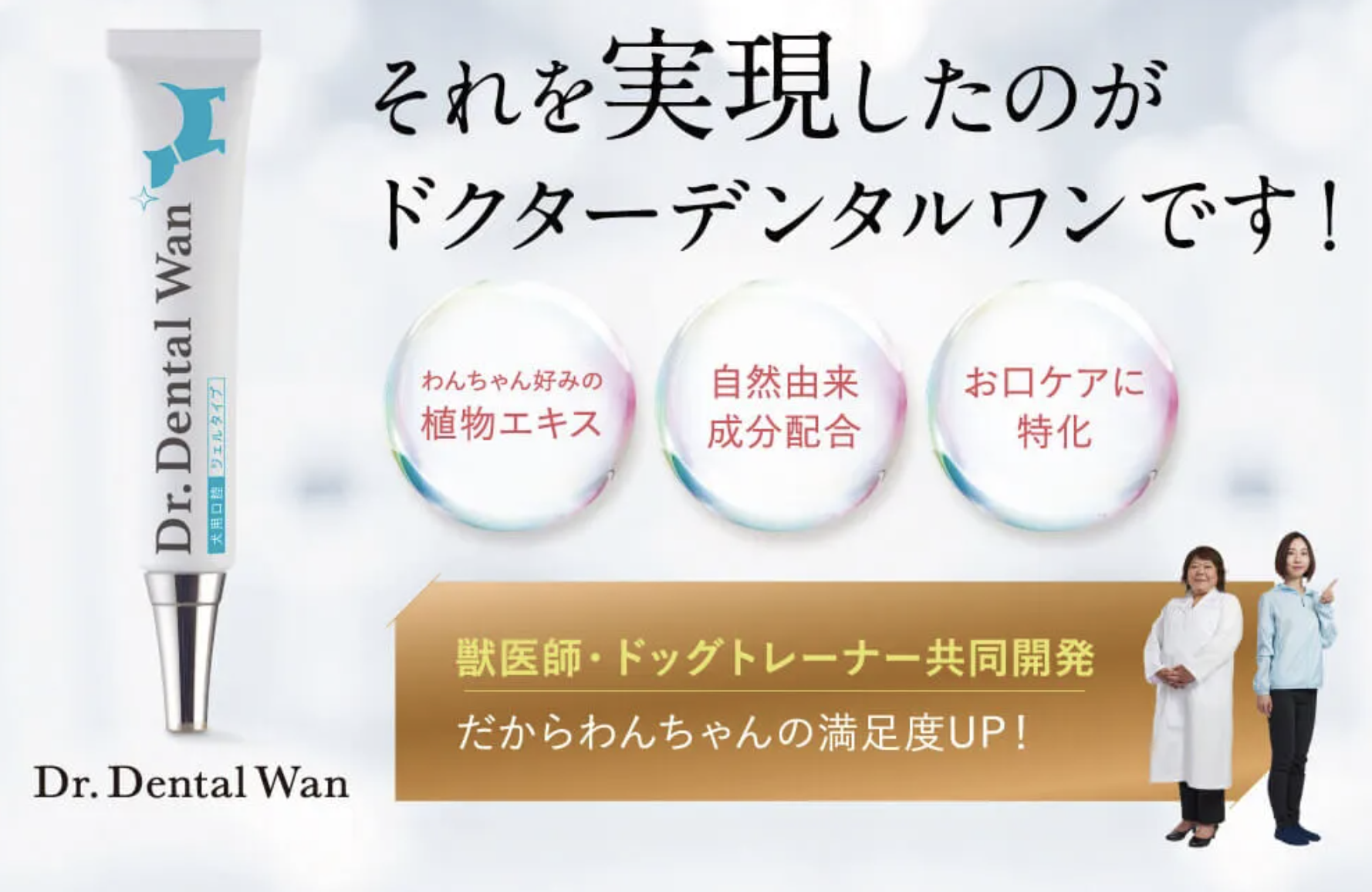 ドクターデンタルワン 販売店