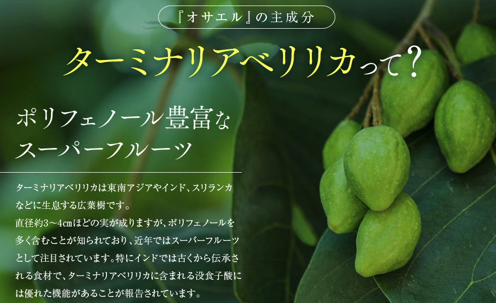 オサエル 販売店