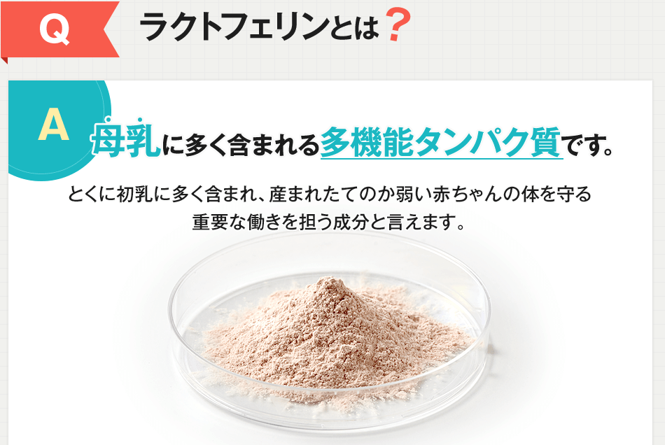 ラクトフェリンS 販売店