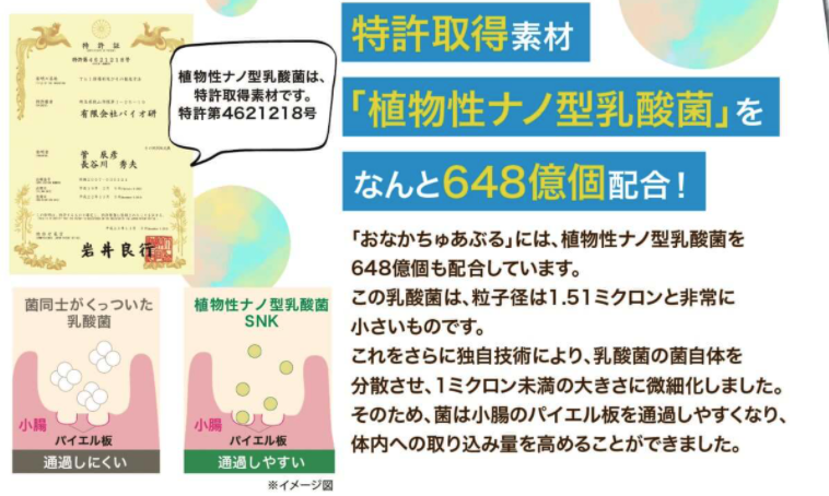おなかちゅあぶる 販売店