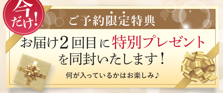 エトワールボーテ 最安値
