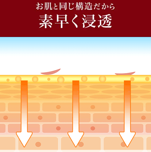 エトワールボーテ 販売店