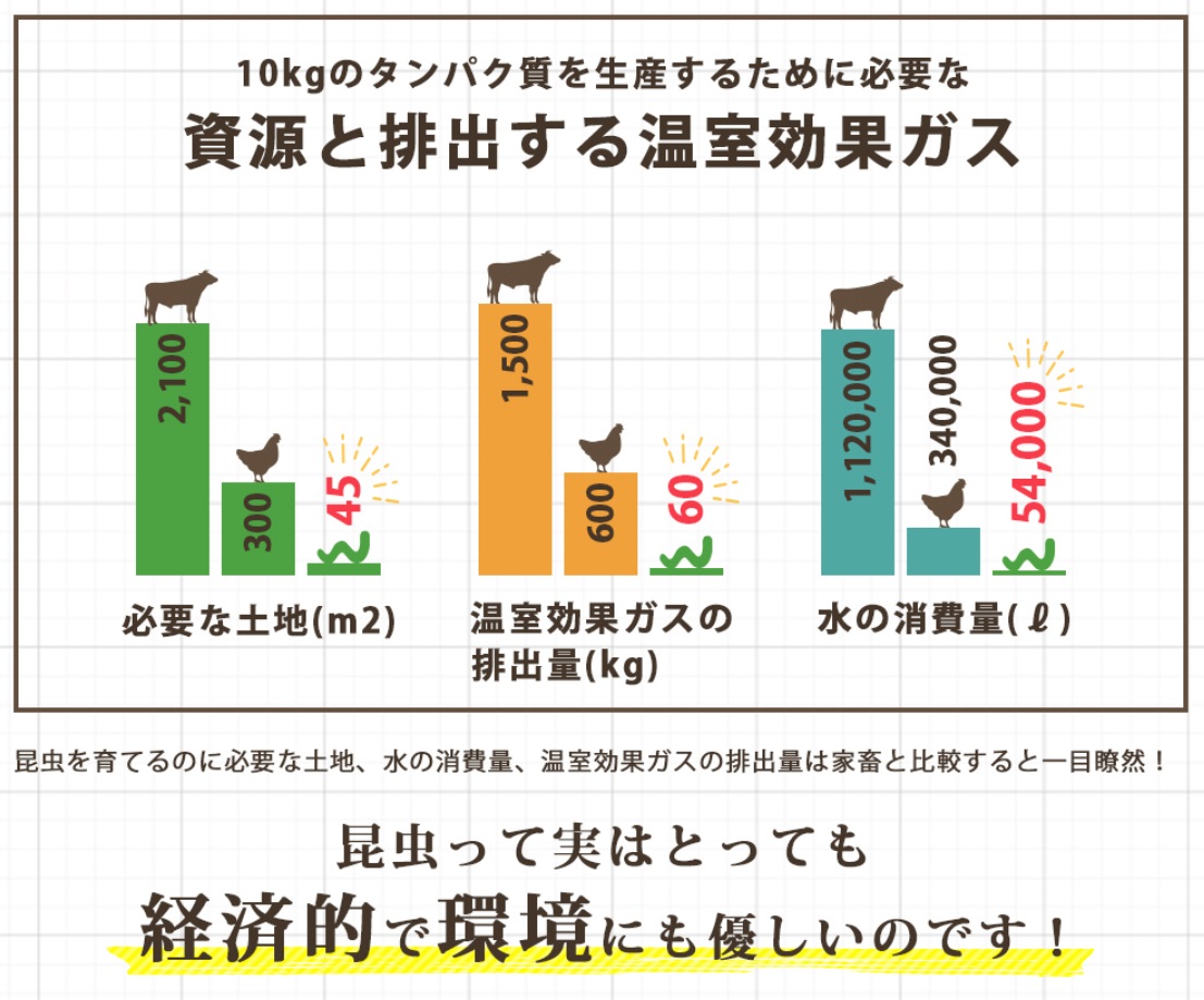 ヨラドッグフード 販売店