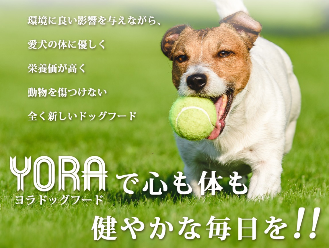 ヨラドッグフード 販売店