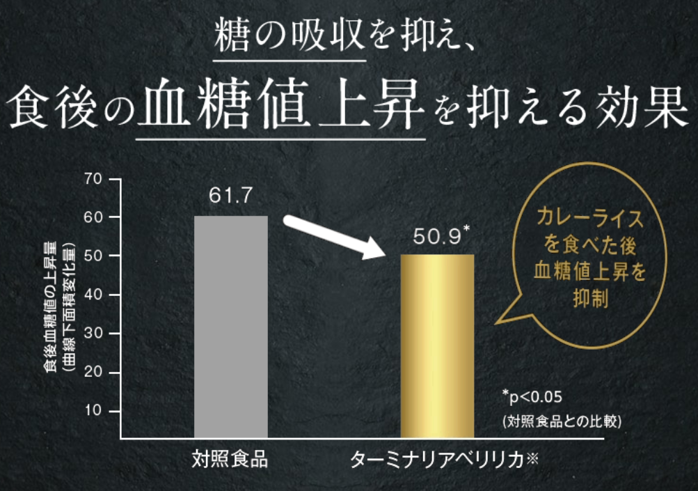 ターミナリアファースト 販売店
