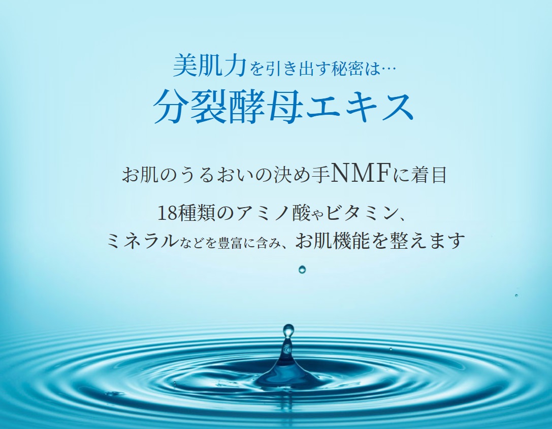 モイストスキンローション 販売店
