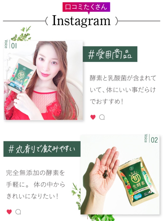 旬の実酵素 販売店