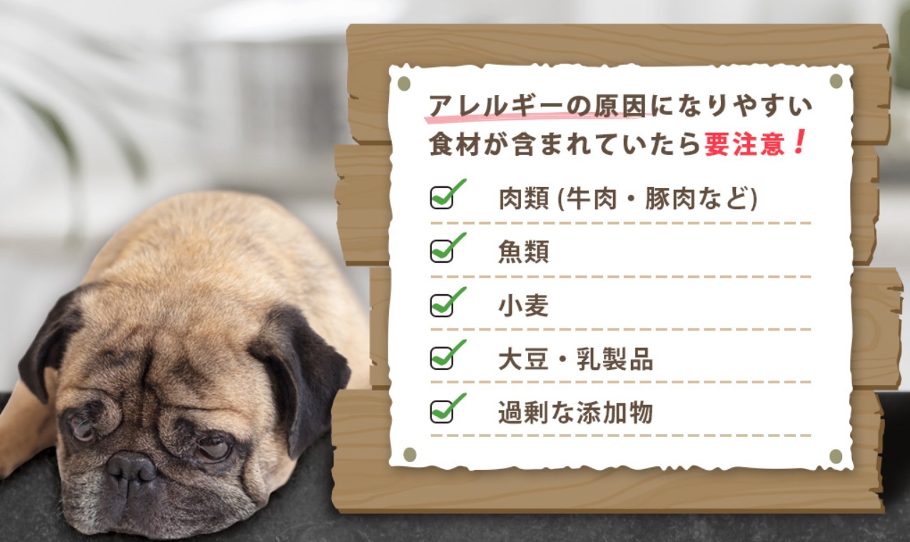ヨラドッグフード 販売店