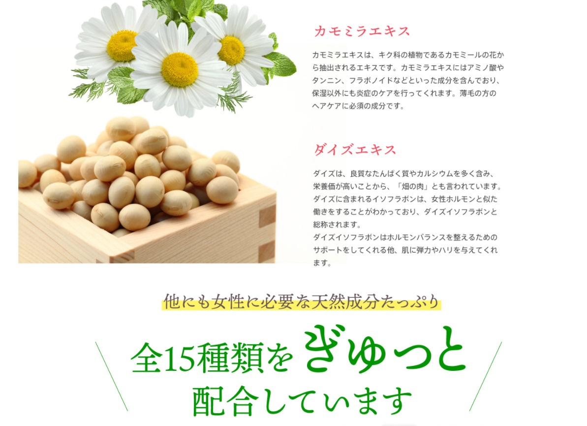マイマ 販売店