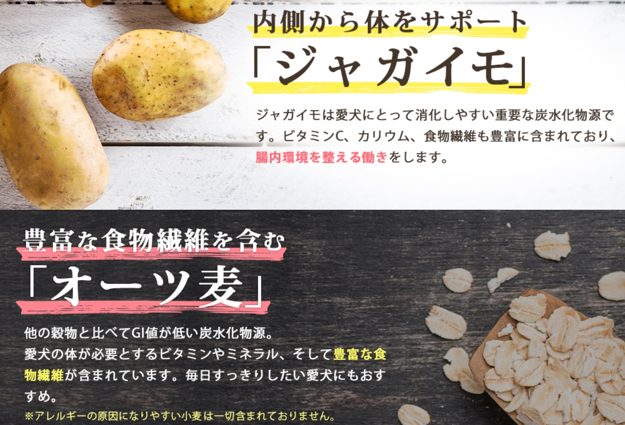 ヨラドッグフード 販売店