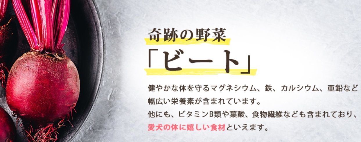 ヨラドッグフード 販売店
