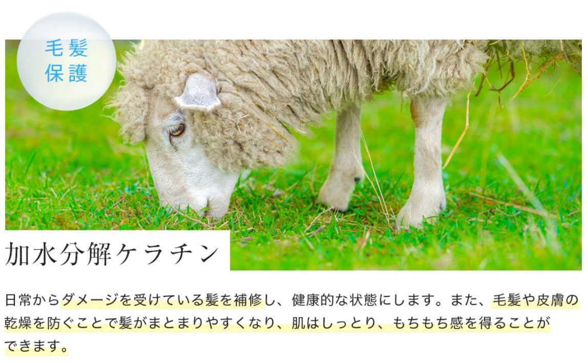 シンプリッチ 販売店