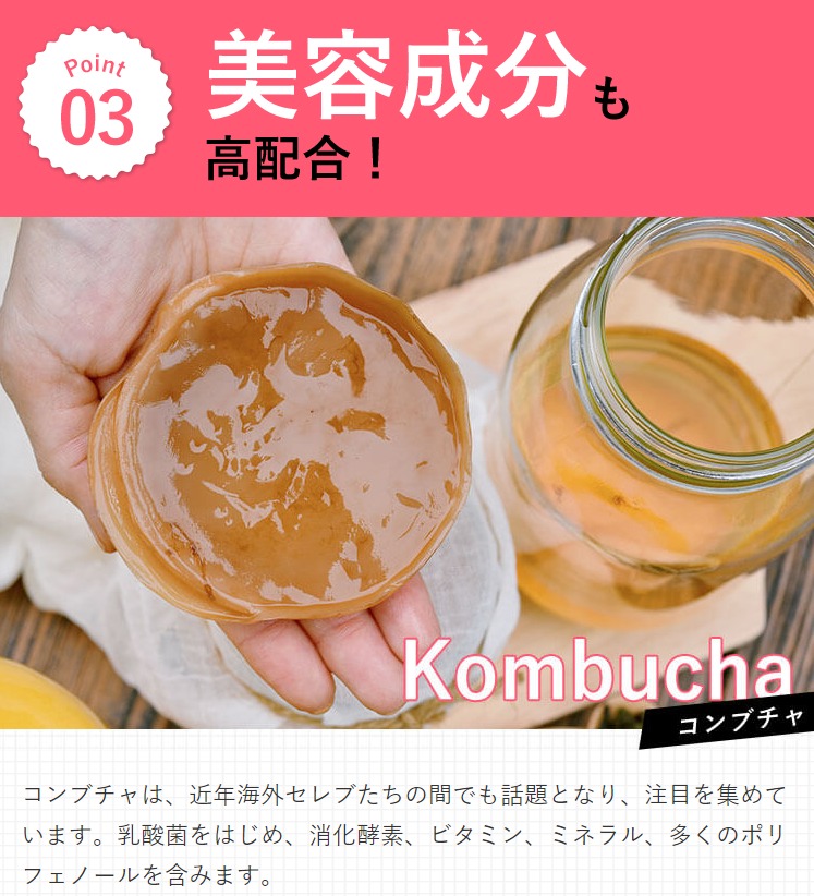 ファストライフ 販売店