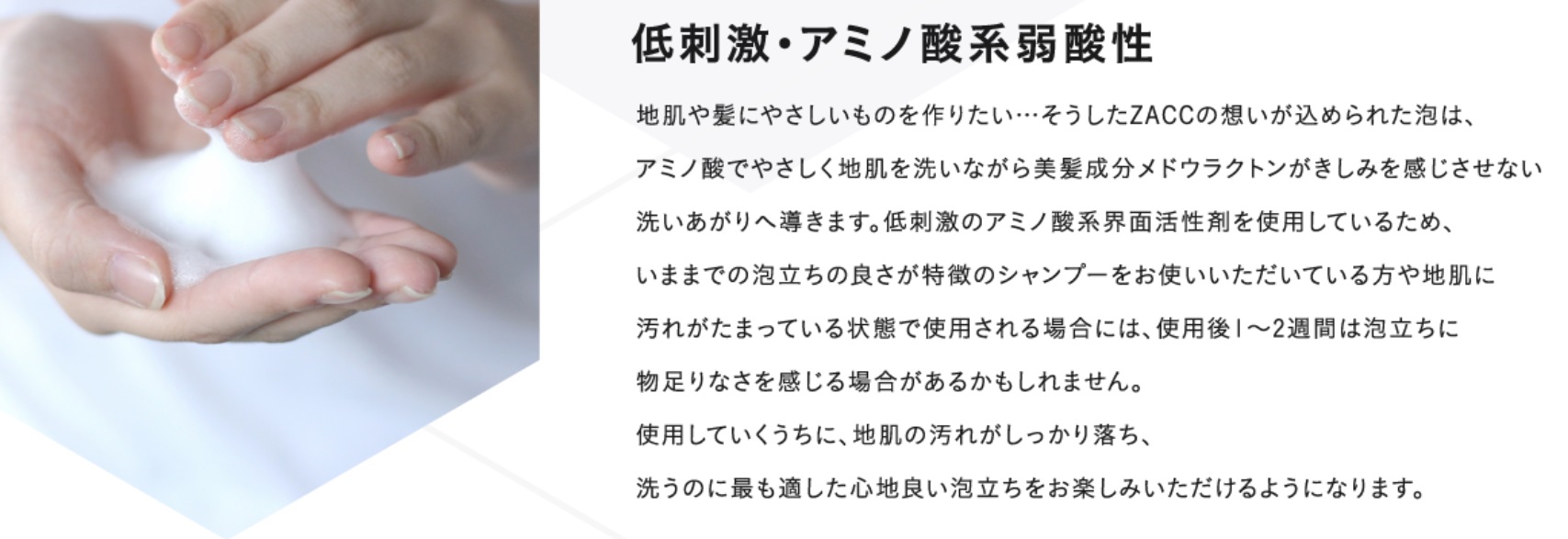 パールリッチシャンプー 販売店