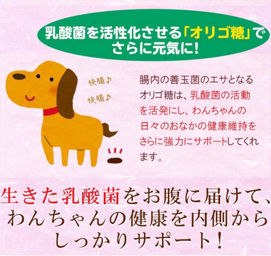 安心犬活 販売店
