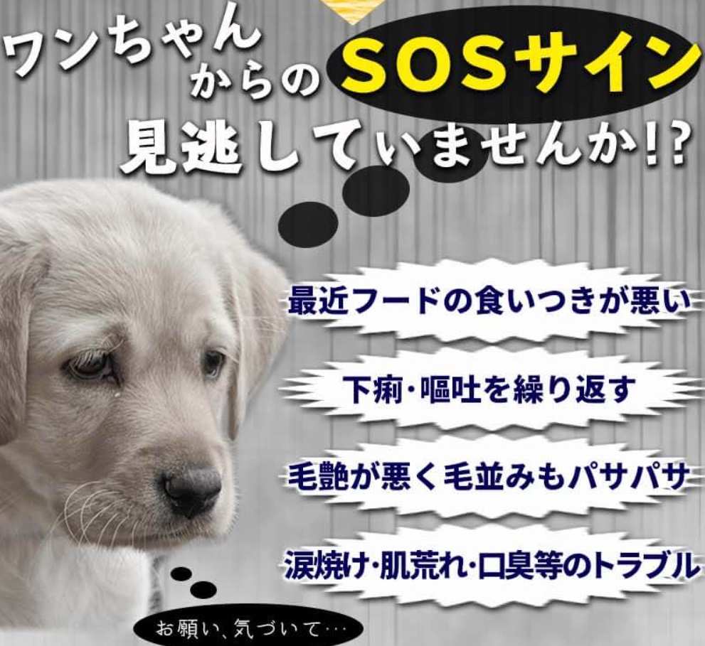 安心犬活 販売店