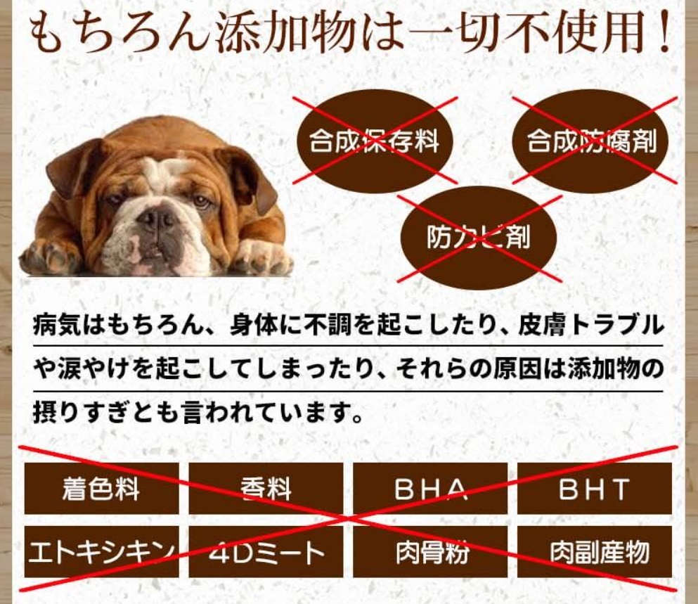 安心犬活 販売店