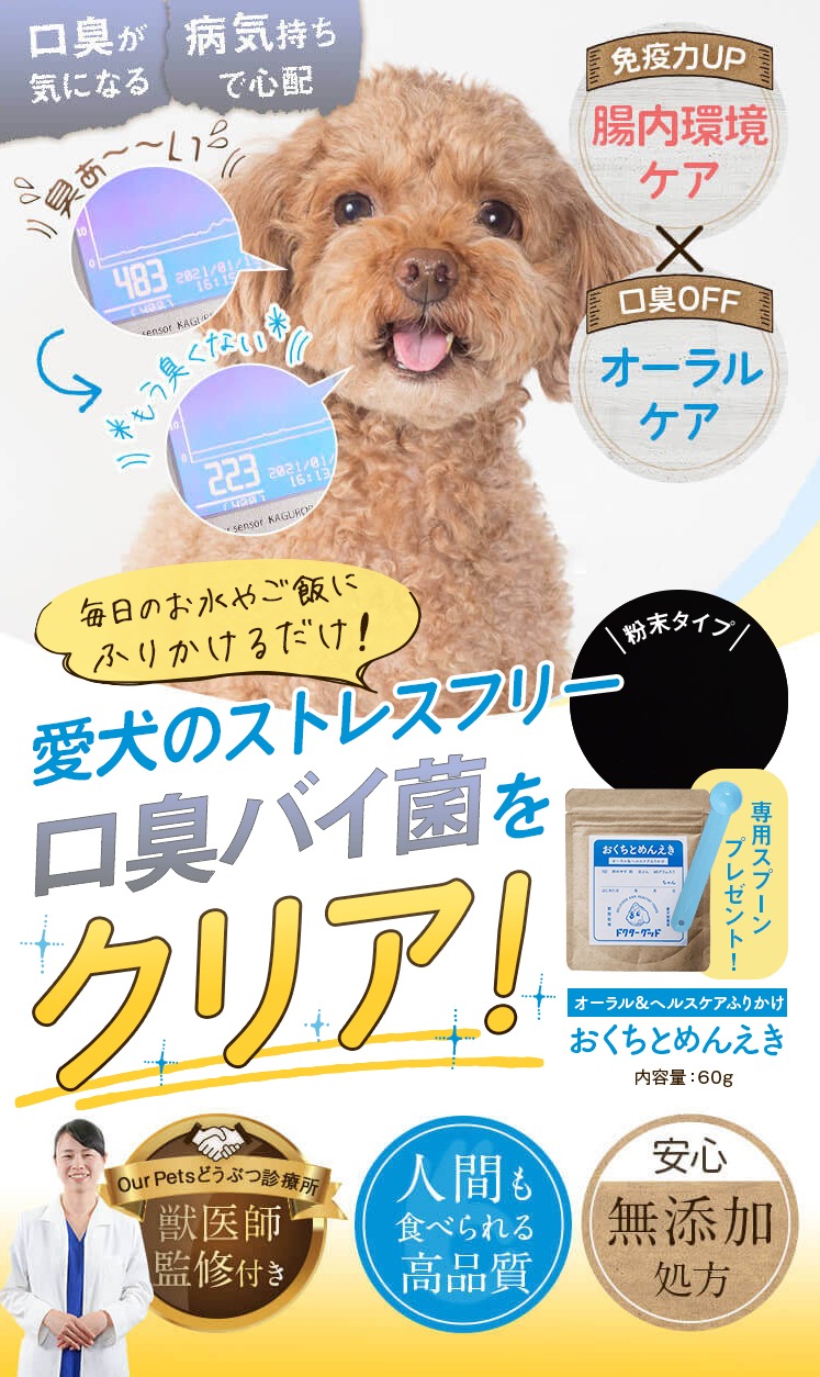 おくちとめんえき 販売店