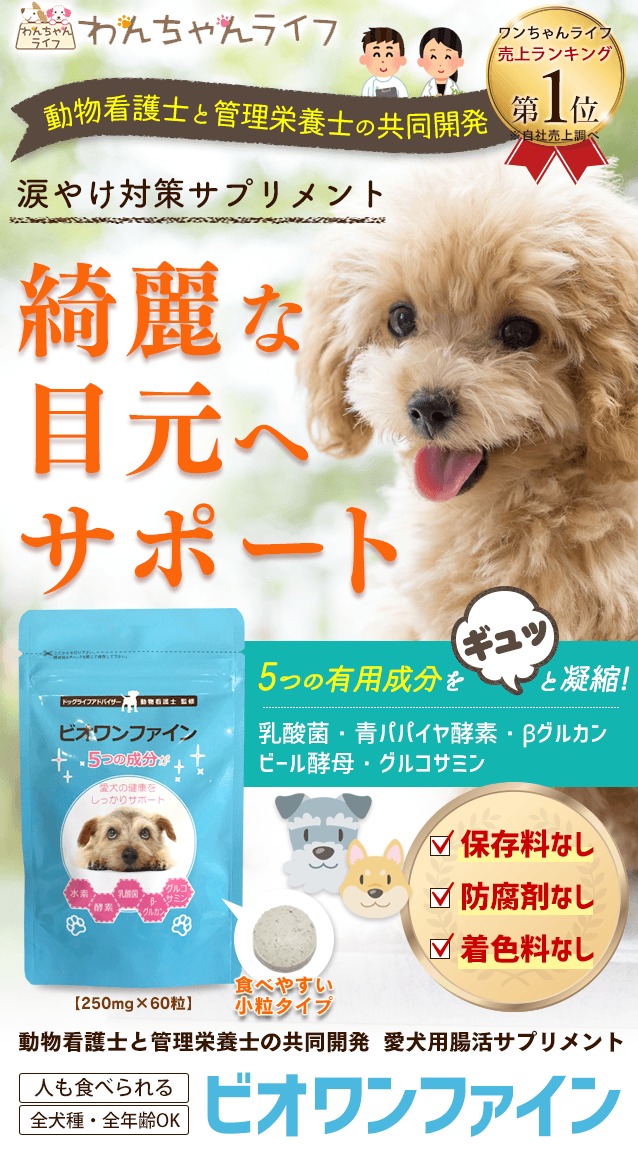 ビオワンファイン 販売店