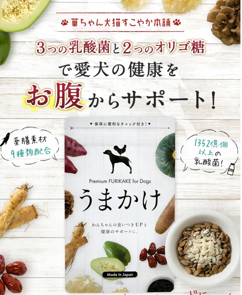うまかけ 販売店