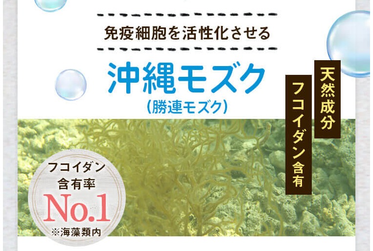 おくちとめんえき 販売店