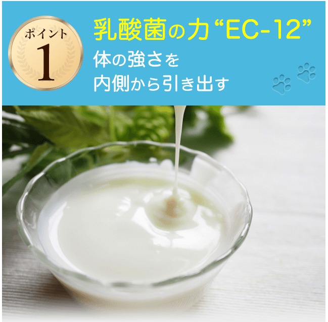 ビオワンファイン 販売店