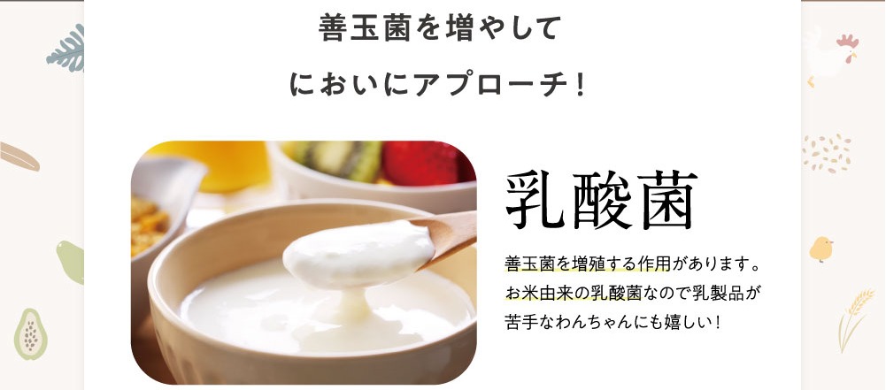 このこのごはん 販売店
