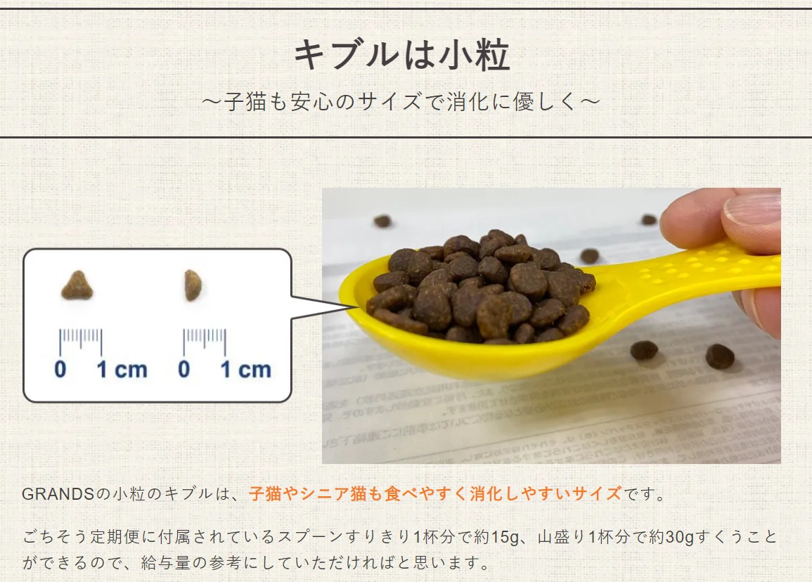 グランツ 販売店