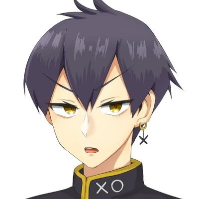 粛正罰丸　中の人(中身)