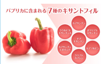 ホワイエット 販売店