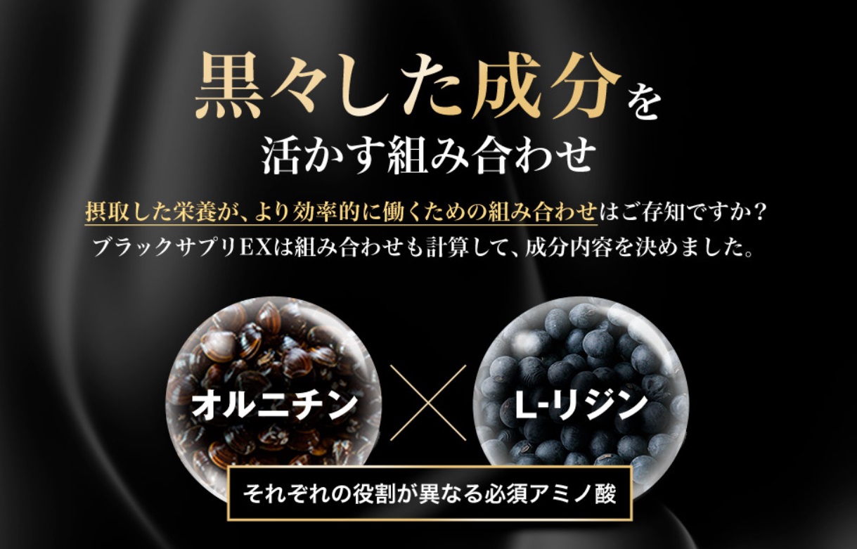 ブラックサプリEX 販売店