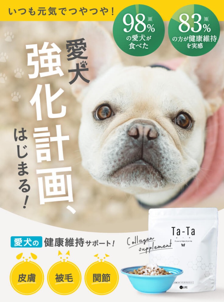 タータ 販売店