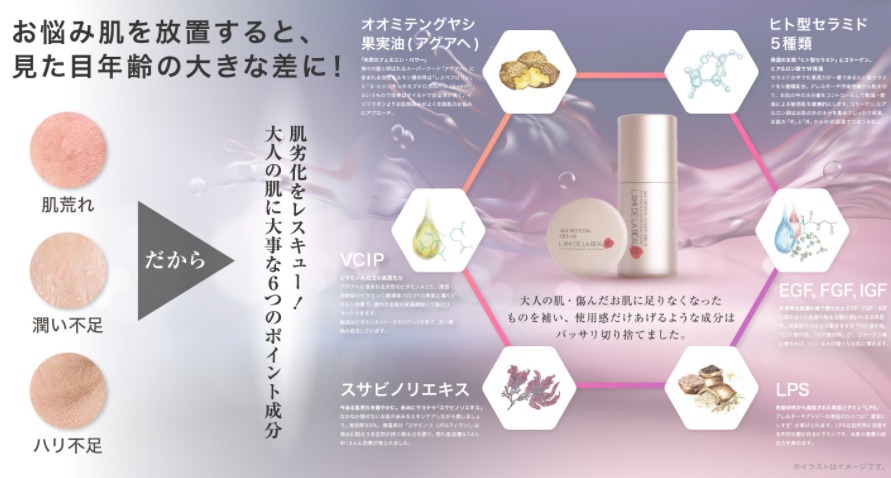 ラミドラボーテ 販売店