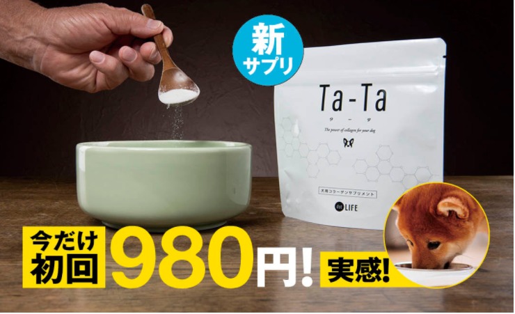 タータ 最安値