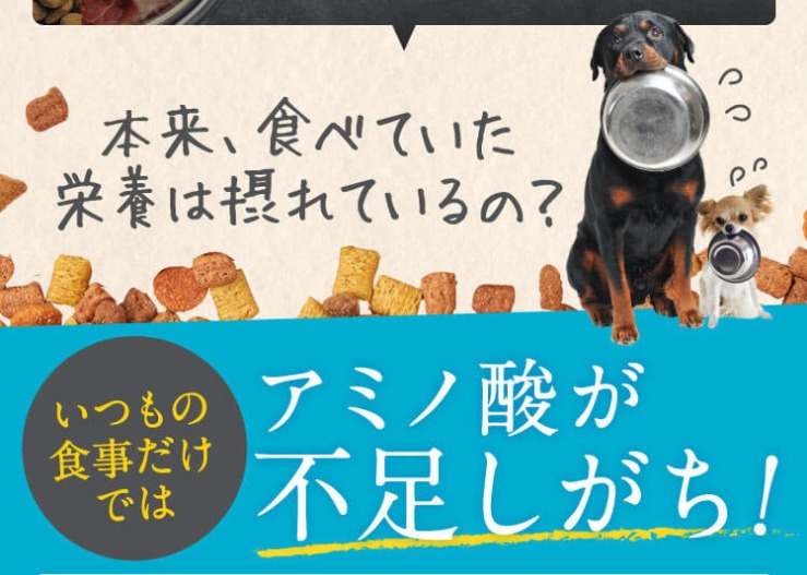 タータ 販売店