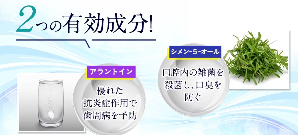 ブレスマイルウォッシュ 販売店